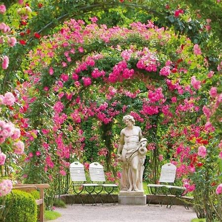 Royal Apartment Baden-Baden Zewnętrze zdjęcie