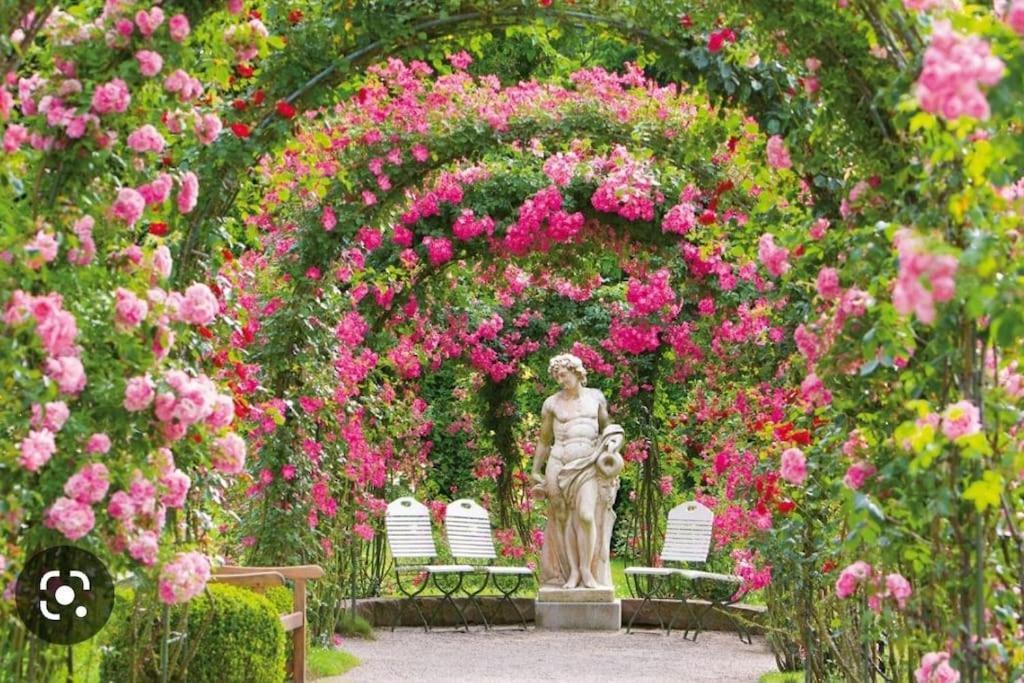 Royal Apartment Baden-Baden Zewnętrze zdjęcie